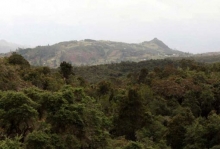 Bosque Aguarongo